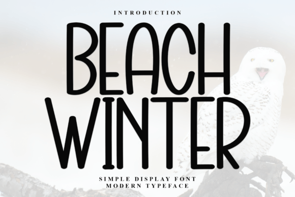 Evaluating Beach Winter for Design Projects